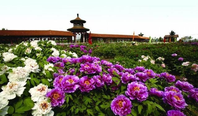  【厉害】山东这座小城厉害了，经济迅速发展，不是青岛也不是济南