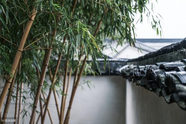 农村庭院很爱种植竹子，种植竹子都有什么寓意和好处呢？