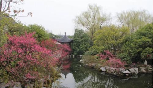  【建筑】有钱人的院子，5年花了3个亿，里面的庭院大过苏州园林