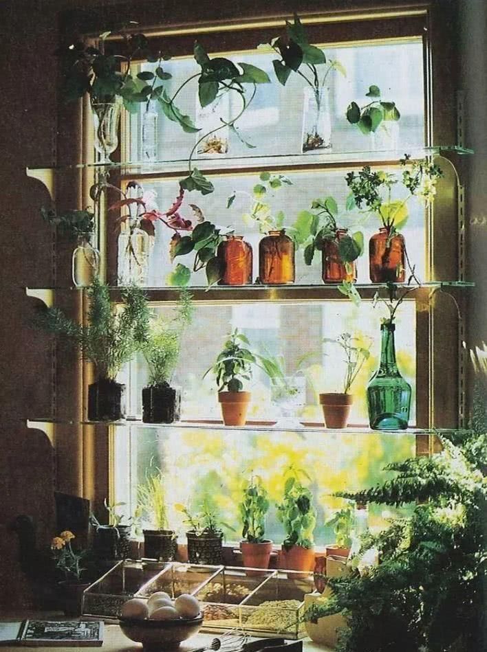  【荒度】我想开一间小店，从此荒度余生