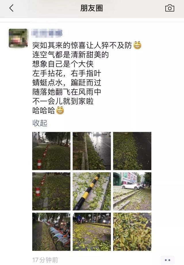  「预警」雨雨雨+冷空气来了！广西多地连发预警，未来几天天气是……