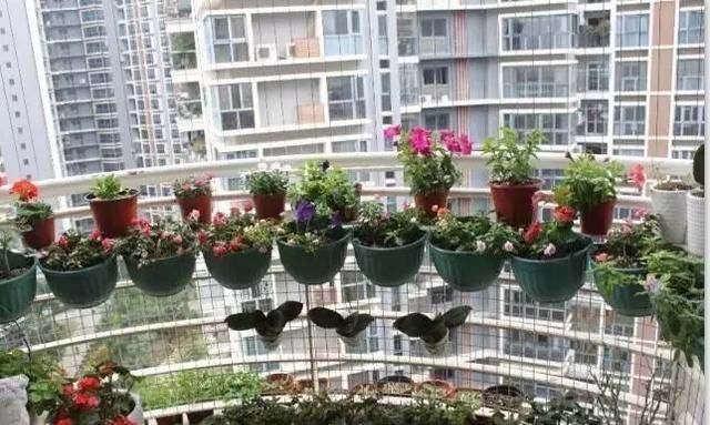  #花架#原来阳台还能这样种花, 一看就像个花园, 太漂亮了!