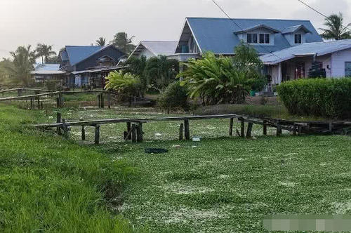 南美小国人口70万,却把汉语定为国语,中国人去旅行全程听中文