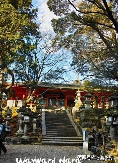  「祈福的灯笼」DAY2日本深度自由行之大阪都门奈良城崎旅行日记