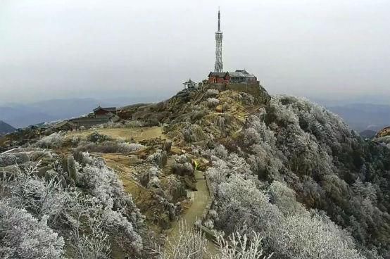 冷美！今冬泰山现第一波雾凇美景