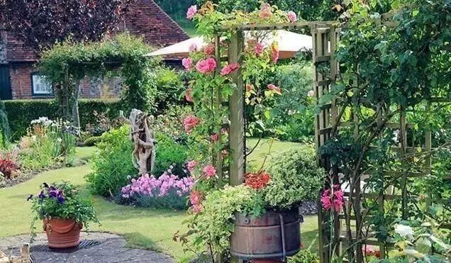  绝美@在农村建一个院子，修篱种菊，烹茶会友，绝美