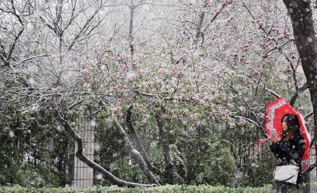  【小寒节气后】俗语“小寒不冷大寒冷，大寒不冷倒春寒”，2020