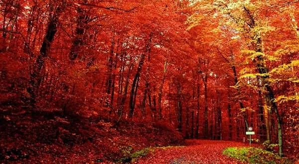 中国最美的30个地方（完整版）终于找齐了！第一居然是…