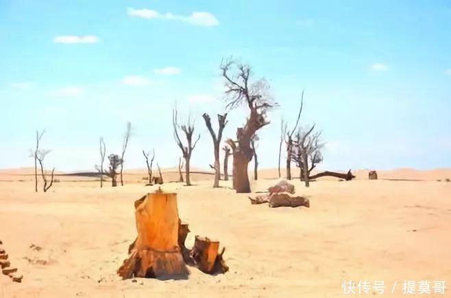 要火了，谁总结的你身边的民勤，原来如此美丽