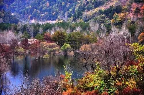 秦岭私藏2条自驾公路，秋季美成天堂，霸占北方最绚烂秋景