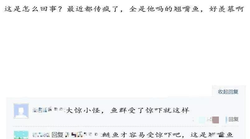 高铁过境致鱼群触电鱼群疯狂跳上岸，钓友捡鱼