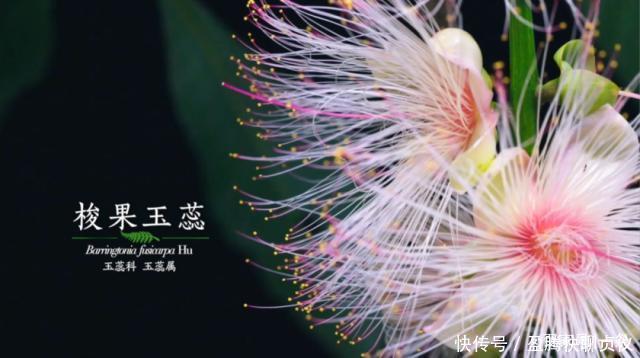 这部纪录片央视发力了,每一帧都可以当壁纸,BBC也无法超越