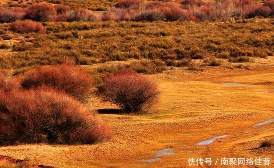 中国真牛! 经过60年对抗, 4.22万平方公里的沙漠慢慢消失!