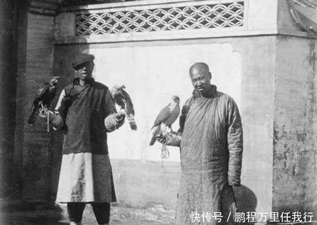 「八旗子弟」八旗子弟误大清,因优待而腐朽,打着爱新觉罗的名号知法犯法!