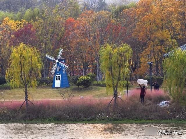 2019杏会邳州|巩伟鸣邳州美景摄影作品欣赏