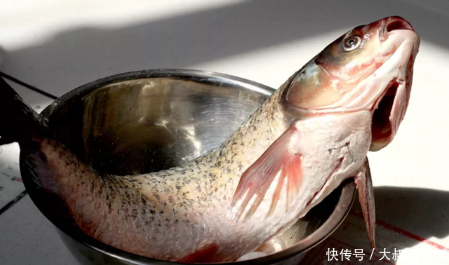 「藤椒」晚上吃什么?大叔家的藤椒溜鱼片,鲜嫩爽口,香气扑鼻,家人爱吃