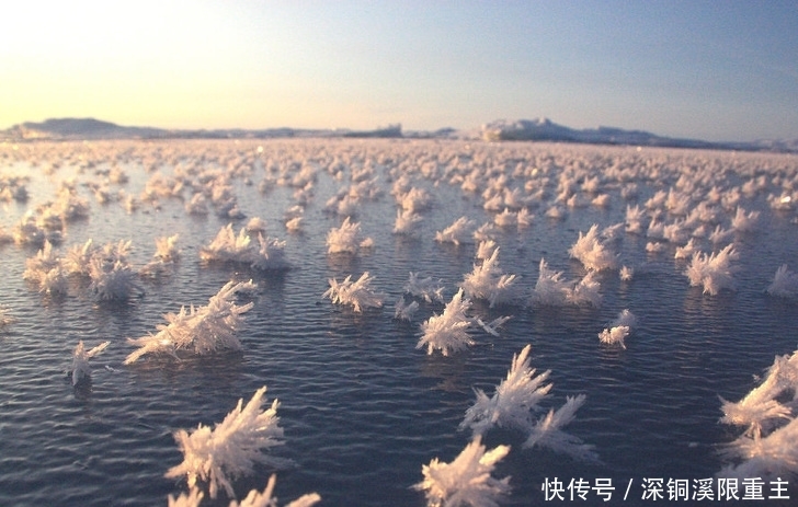 25张罕见的照片,展现自然奇观