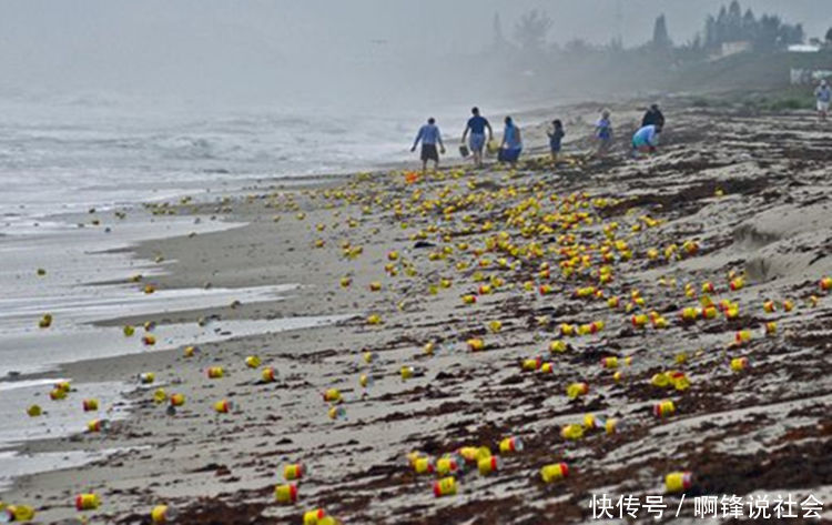 美国海边突然散落黄色罐头，看到里边的东西，居民抢疯了
