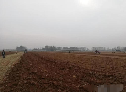  农民：2020年之后农村的土地到底由谁来种植？专家说出答案，你