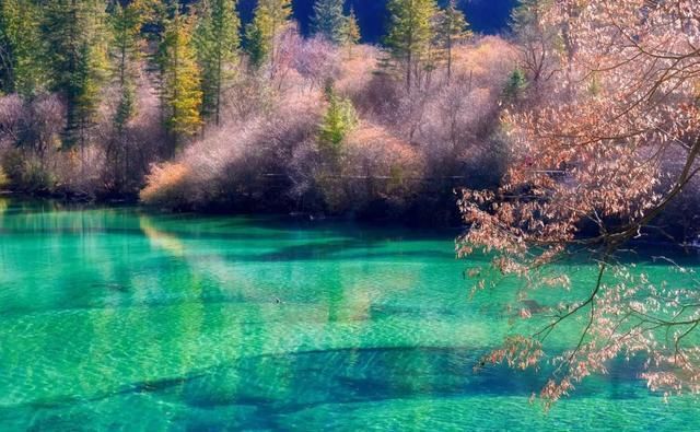 这才是四川最美7大景点，景美人还少，去过5个的都是老司机！