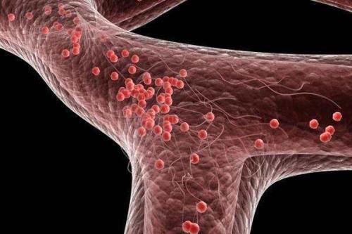 养生专家盘点关于喝醋的4条谣言，你被骗了多久?