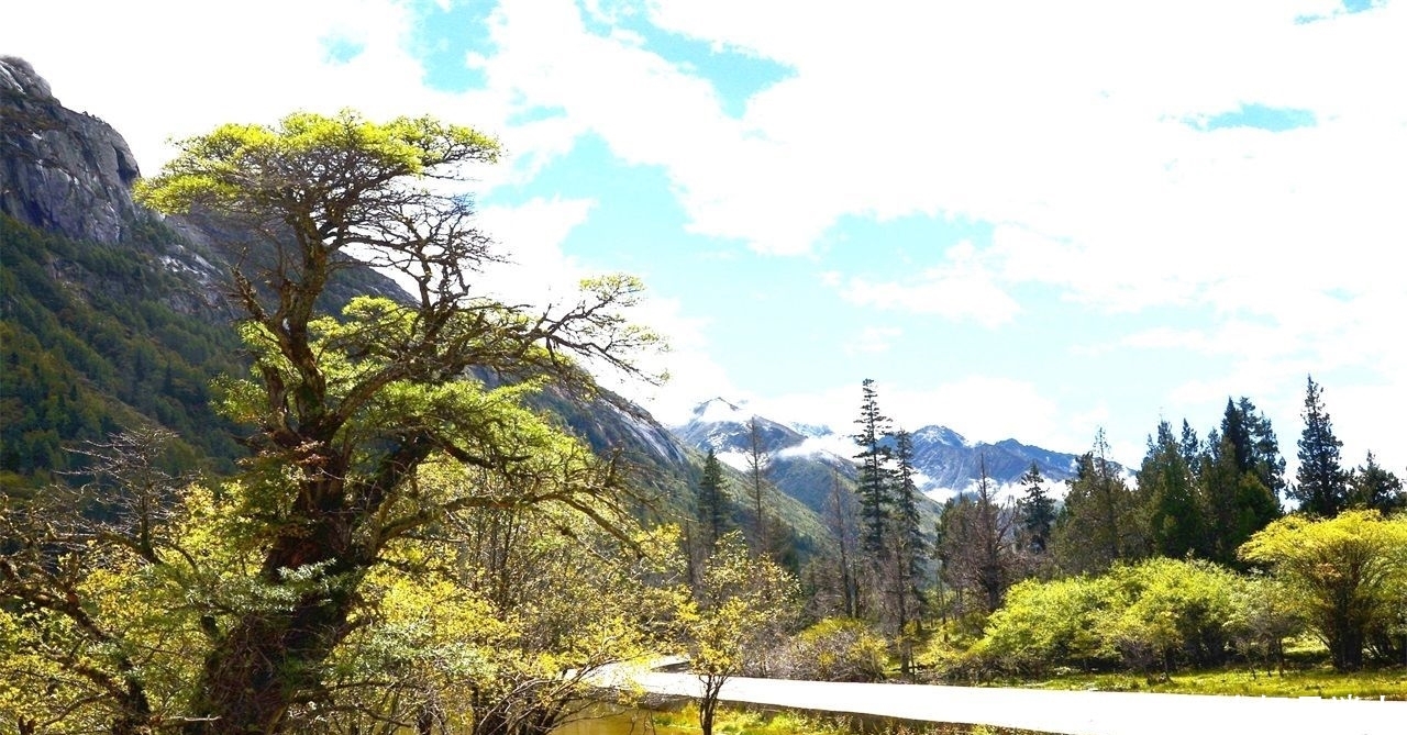 四川最不能错过的地方，被很多人忽略的人间仙境，极为迷人