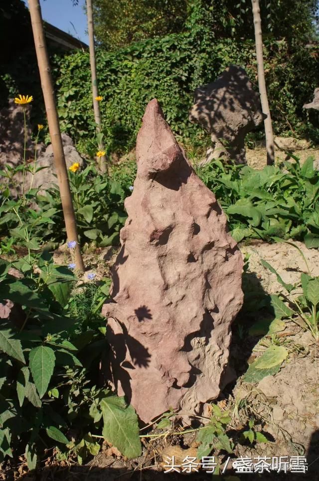 快瞧！这里有乌市最多的景观卵石、火山岩石