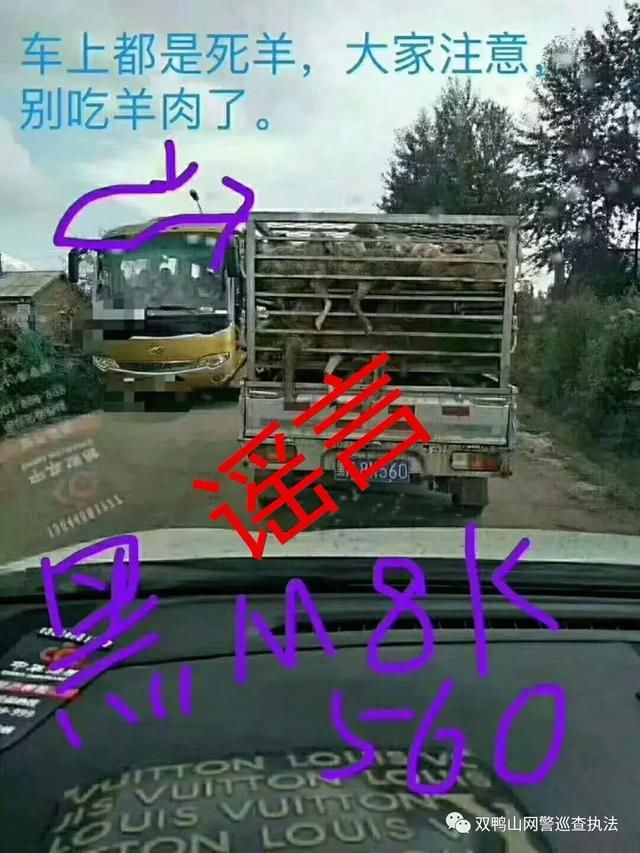 辟谣近日朋友圈传拉羊车拉一车死羊进入双鸭山境内为谣言信息