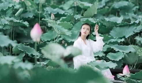 「感觉」“江南可采莲”写的内容是什么,为什么读起来感觉不像诗?