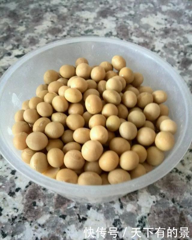 养花■想吃豆芽,1个“可乐瓶”就能做,只花豆子钱,7天就行!