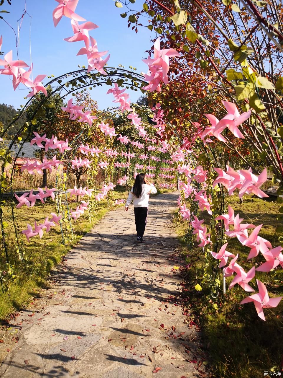 宜昌周边-秭归月亮花谷