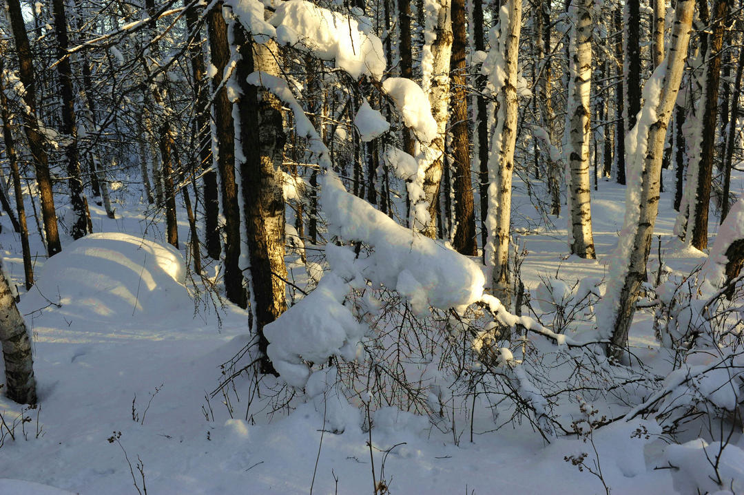 中国7个月都在下雪的地方，游客称踩雪是罪过，你觉得会被开发吗