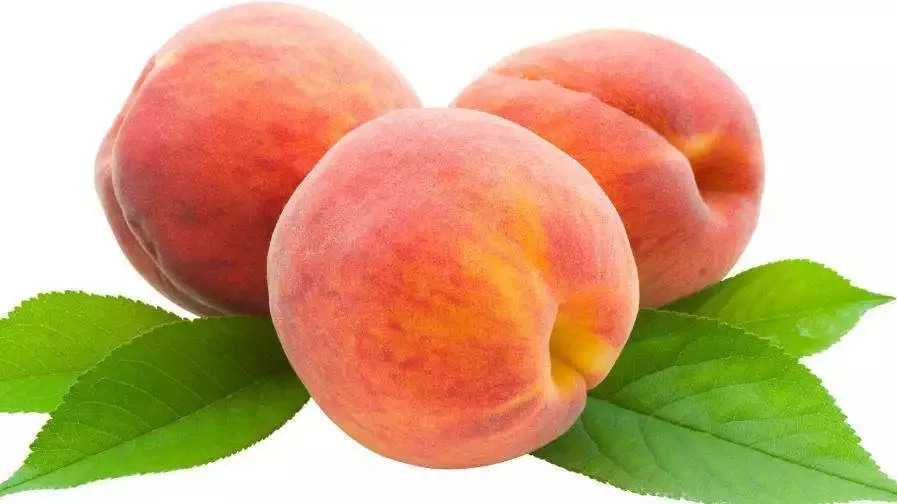 【辟谣】食物相克??NO!看这里?