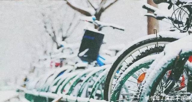 开学了，去青岛最美大学去逛一逛吧，个个堪比5A级景区