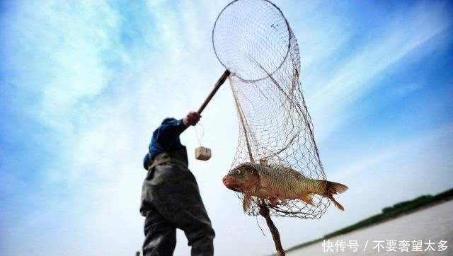 淡水鱼无法在大海中存活，那黄河流入大海后 ! 河中的鱼去哪儿了