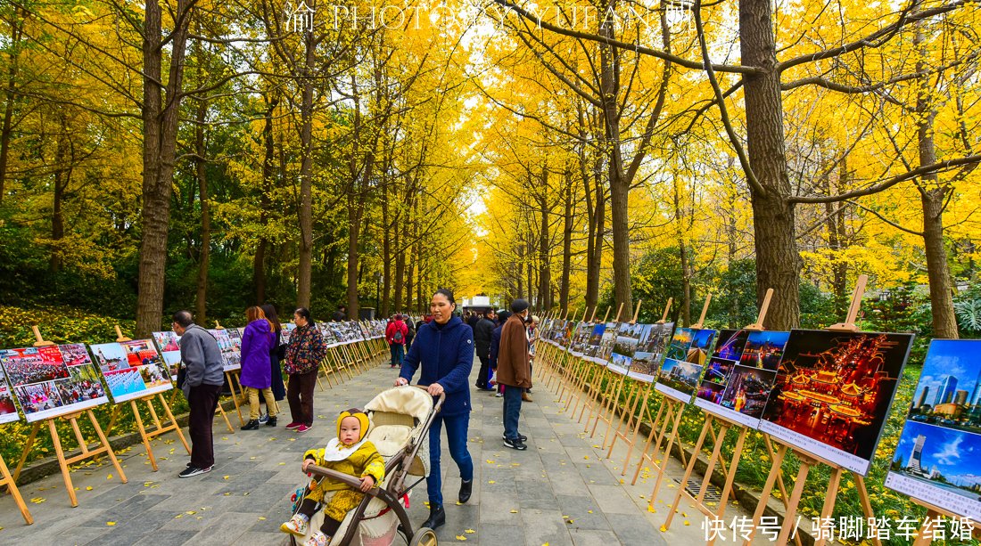 成都人民公园的川军抗日将士纪念碑,被多少人擦肩而过的忽略