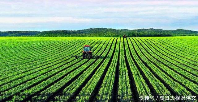  【三农】三农快讯，关于农村粮食补贴政策，这四类情况大家注意