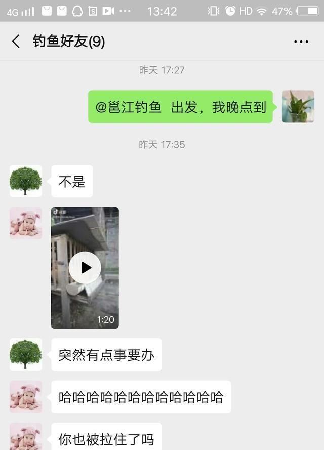  「鱼悦」雾里看花钓鱼忙，东风鱼儿把口开，鱼悦的一天