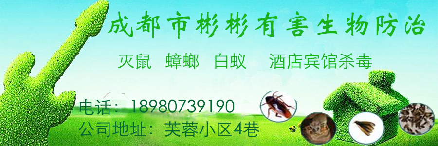 【谣言】大邑微信群疯传两岁女童被狗咬断腿