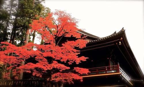 日本人都盛赞的日光绝景，究竟有多美？没来过就等于白去了日本