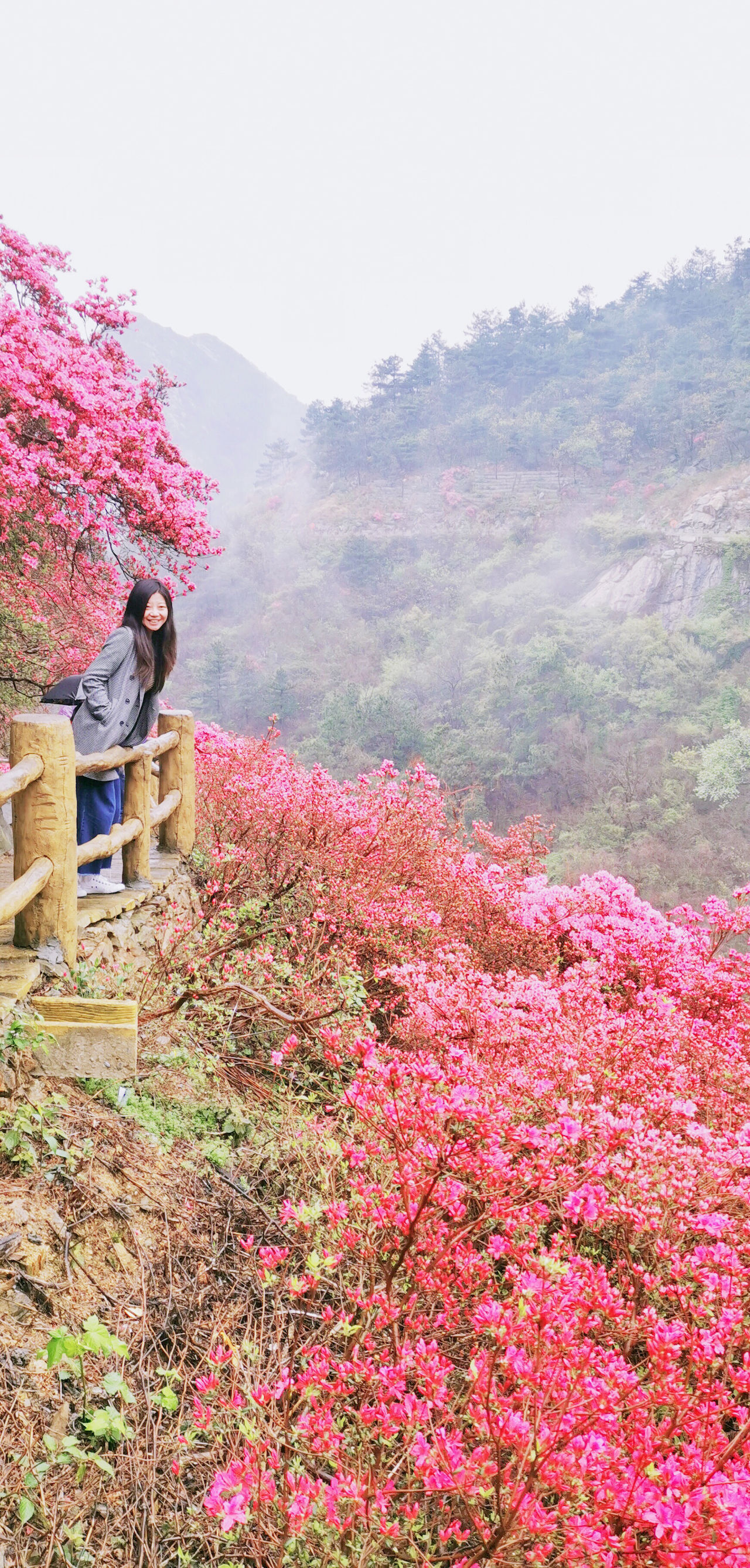 武汉周边游3??丨黄陂赏花和登山徒步，推荐这四个景区必须打卡