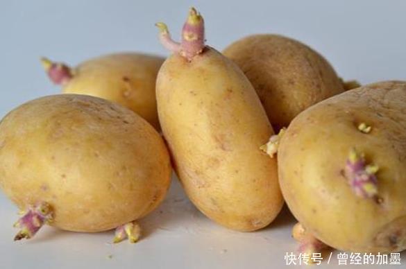 【切除】存放不当造成土豆冒芽还能吃么切除芽后呢应该怎么存放土豆
