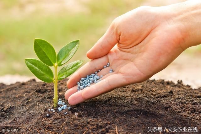 化肥价格还涨吗？农业农村部给出了预测！