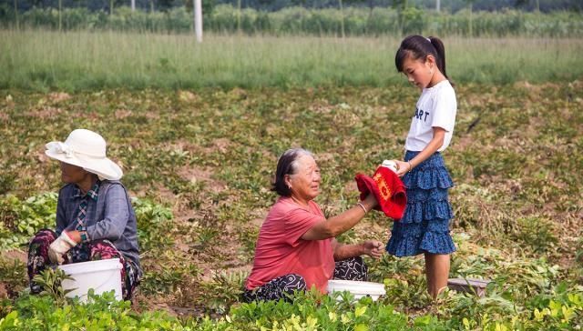  「大妈」农村大妈包地种百亩花生，每斤只卖1块5，这样种地能挣