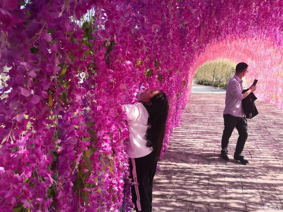 宜昌周边-秭归月亮花谷