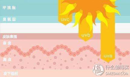 防晒做不好，小黑跑不了防晒霜选购这些你不得不知