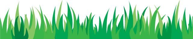 足迹 | 世界杯频频被谣言抢了头条 避坑你需要这个