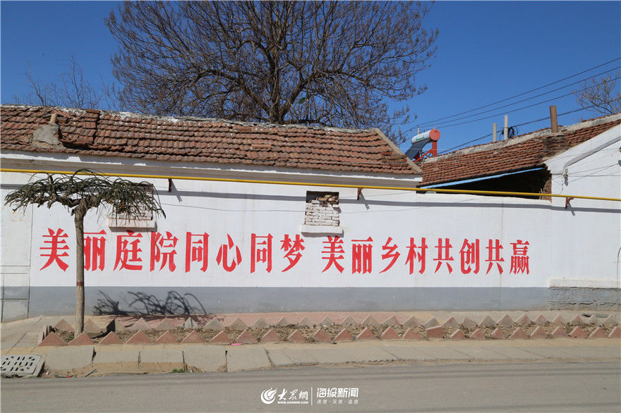  #打造#以家庭“小美”聚“乡村”大美 德州平原以一户一景打造千户“美丽庭院”