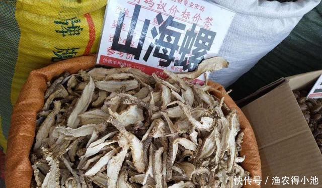过去一挖一麻袋，做腌菜是一绝，根似人参，如今50元一斤成稀罕货