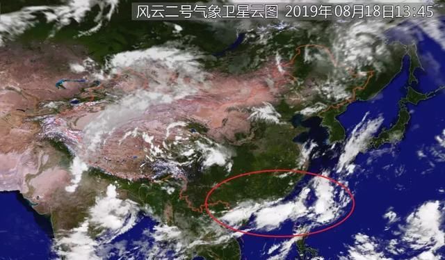 紧急通知！11号台风“白鹿”正在生成！降雨不降温！晋江将……